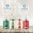 thumbnail image 2 of Soap House Hand Soap | Christmas Collection | Made With Real Essential Oils | 4 x 250ml, 2 of 2