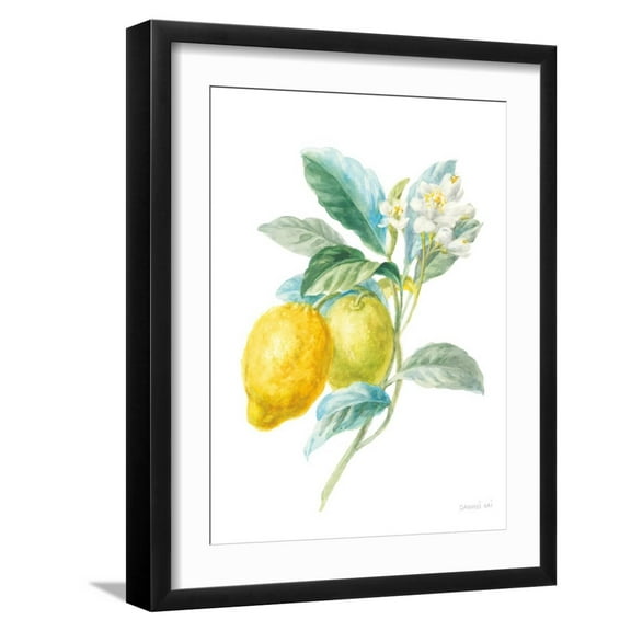 Art.com Floursack Lemon II on White Art Print by Danhui Nai, Black Frame Wall Art, 17" x 21"