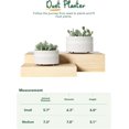 thumbnail image 5 of BEMAY 2-Pack 8+6.5 inch White Ceramic Succulent Pots with Drainage, Modern Round Decorative Flower Pots, Reactive Glaze Finish Plant Pots, 5 of 9