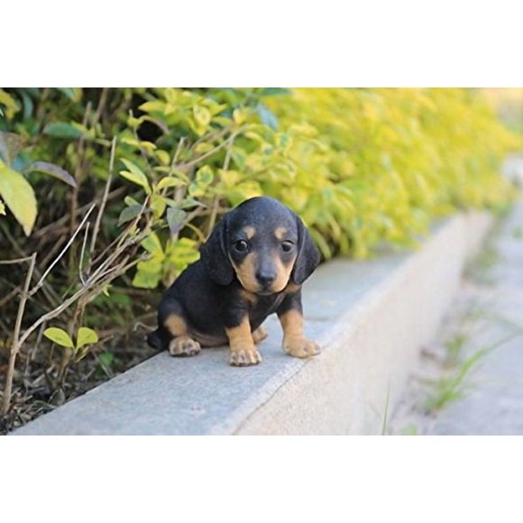 Cachorro de perro salchicha Pet Pals de Sculpture Hi-Line Gift Ltd.