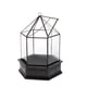 thumbnail image 1 of Caja Del de La Joyería Del Invernadero de Cristal, Negro de Las Plantas, Gran, 1 of 8