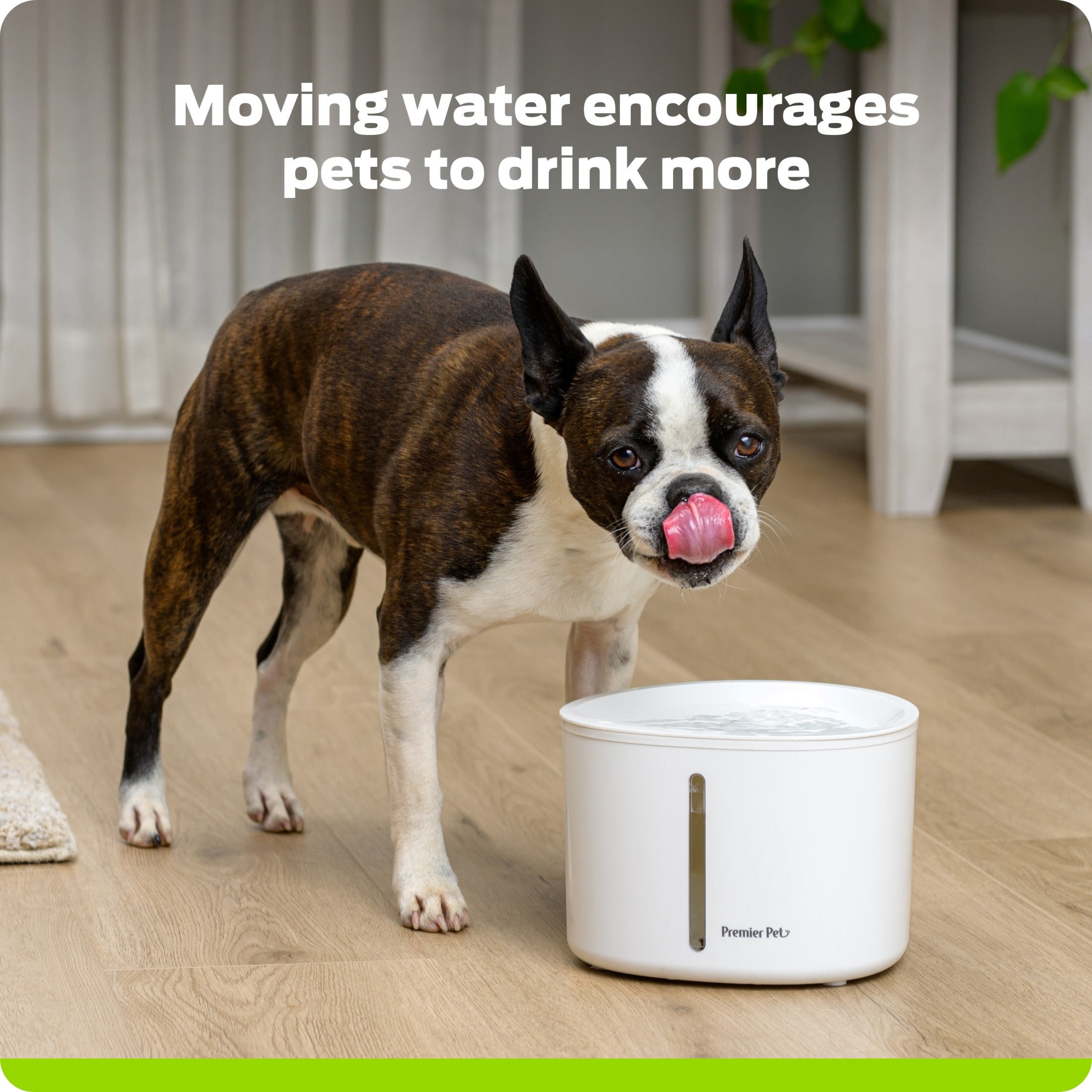Premier Pet 110 oz. Pet Fountain Automatic Water Fountain for Cats & Dogs, Filters Included, White