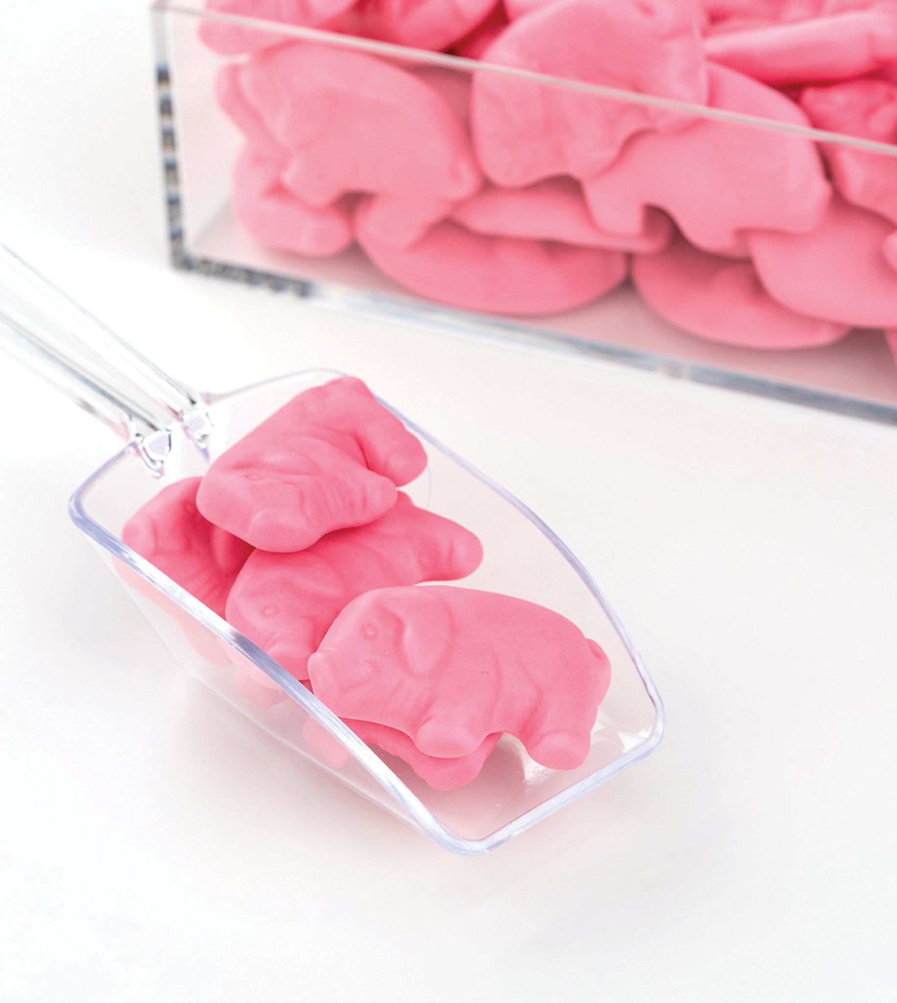 Gustaf's Gummi Pigs Candy - 2.2 LB Bulk Bag