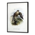 thumbnail image 3 of Designart 'Ancient Bird Life VIII' Traditional Framed Canvas Wall Art Print, 3 of 5