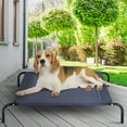 Gymax Large Dog Cat Bed Elevated Pet Cot Indoor Outdoor Camping Steel