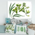 thumbnail image 3 of Designart 'Green Orchid Flowers On White' Traditional Framed Art Print, 3 of 4
