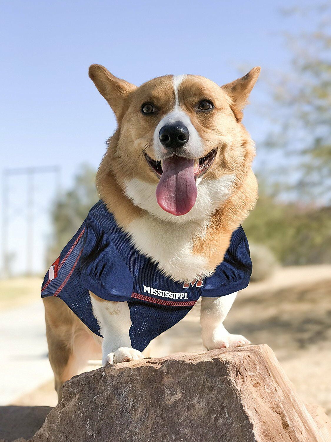 Pets First Collegiate Mississippi Rebels Football/Basketball Mesh Jersey for Pet Dog. available in 40+ Teams - Large