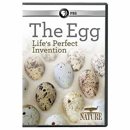 Nature: The Egg: Life's Perfect Invention (DVD) (Best Nature Documentaries On Netflix)
