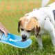 thumbnail image 5 of Dispenser Botella de Agua Accesorios Portátiles de Perros Dispensador de Agua Para Perros - Copa de Vije para Mascotas de Acero inoxidable Botella de Agua al Aire Libre Tazón de, 5 of 7