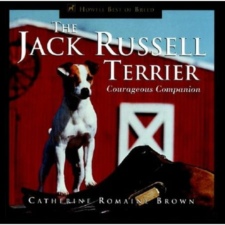 The Jack Russell Terrier : Courageous Companion (Best Small Companion Dogs)