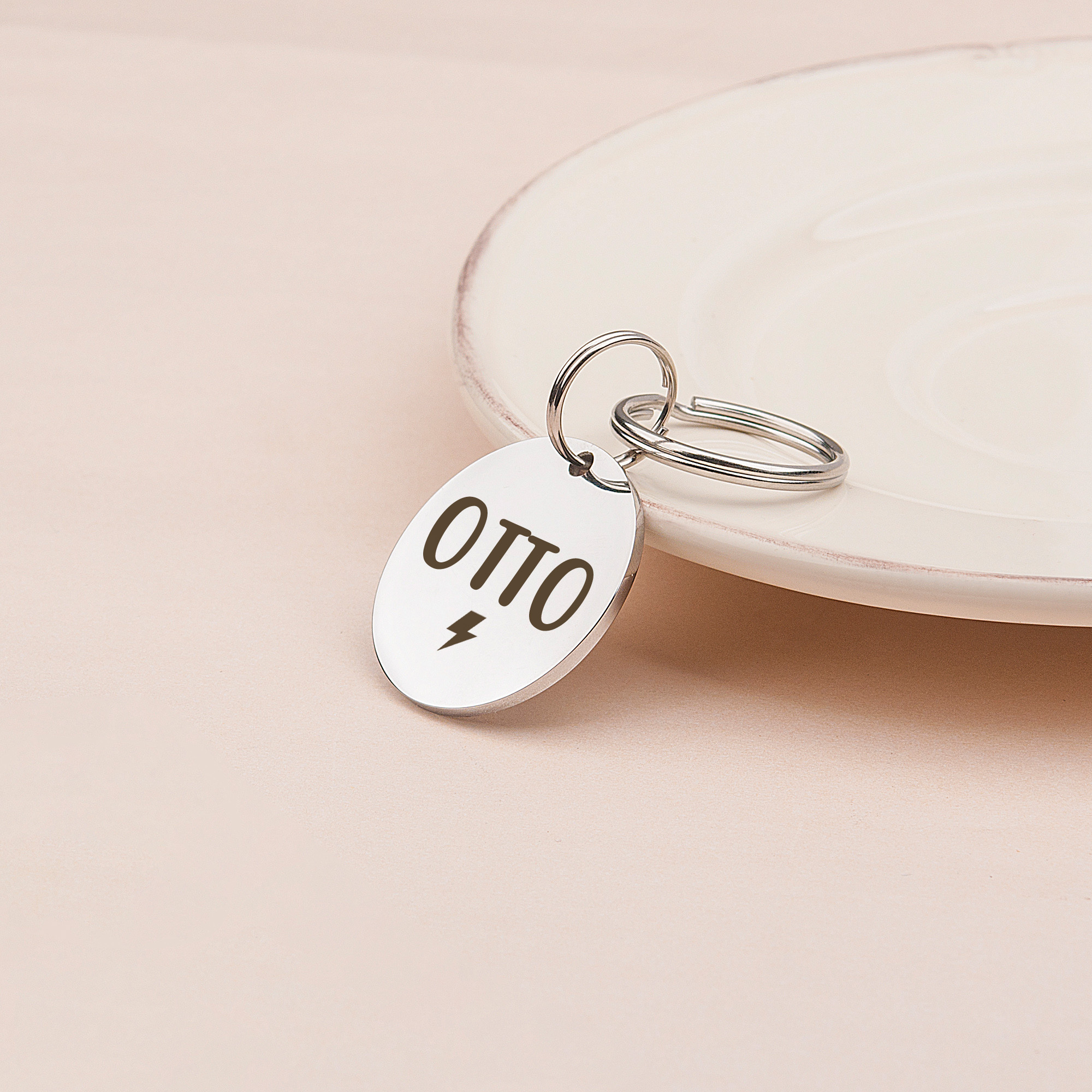 Personalized Round Pet ID Dog Tag - Engravable Name and Icon Licence Key Chain for Collar - Custom Stainless Steel Pet ID Tags - Emergency Tags for Pets - Ship Next Day [Silver]