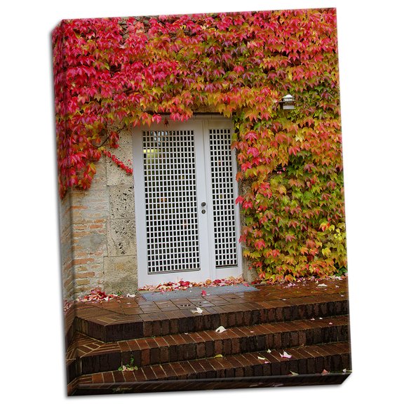 Gango Home Decor Augustine Door & Ivy by George Johnson (Ready to Hang); One 18x24in Hand-Stretched Canvas