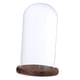 thumbnail image 4 of Cúpula transparente con base de madera.,Cúpula de cristal con base,Campana de cristal,Cúpula de exhibición de vidrio,Cubierta de vidrio,Botella de paisaje de jardín,Soporte de bricolaje, 4 of 9