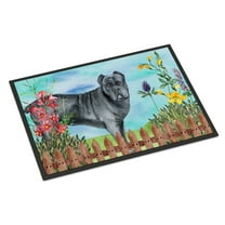 Carolines Treasures CK1256JMAT Cane Corso Spring Door Mat Indoor Rug or Outdoor Welcome Mat 24x36 Doormat  36"L x 24"W