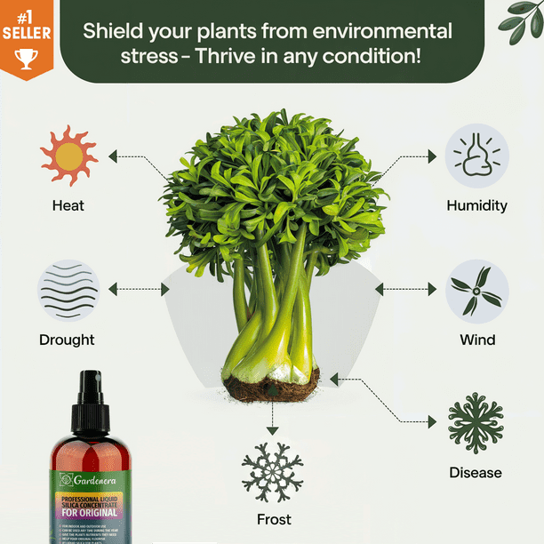 Liquid Silica Plant Supplement - 32oz - GARLIC  Plants Liquid Silica Boost Fertilizer - Stronger Stems & Healthy Leaves for  Indoor & Outdoor Garlic Plants (Makes 180 Gallons) - Walmart Business  Supplies
