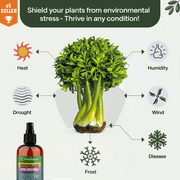 ⭐ PREMIUM Bioavailable Silica Fertilizer for Aroids – 8oz – Ideal for Hydroponics & Soil – Healthier Plants with Strong Stalks - CONCENTRATE