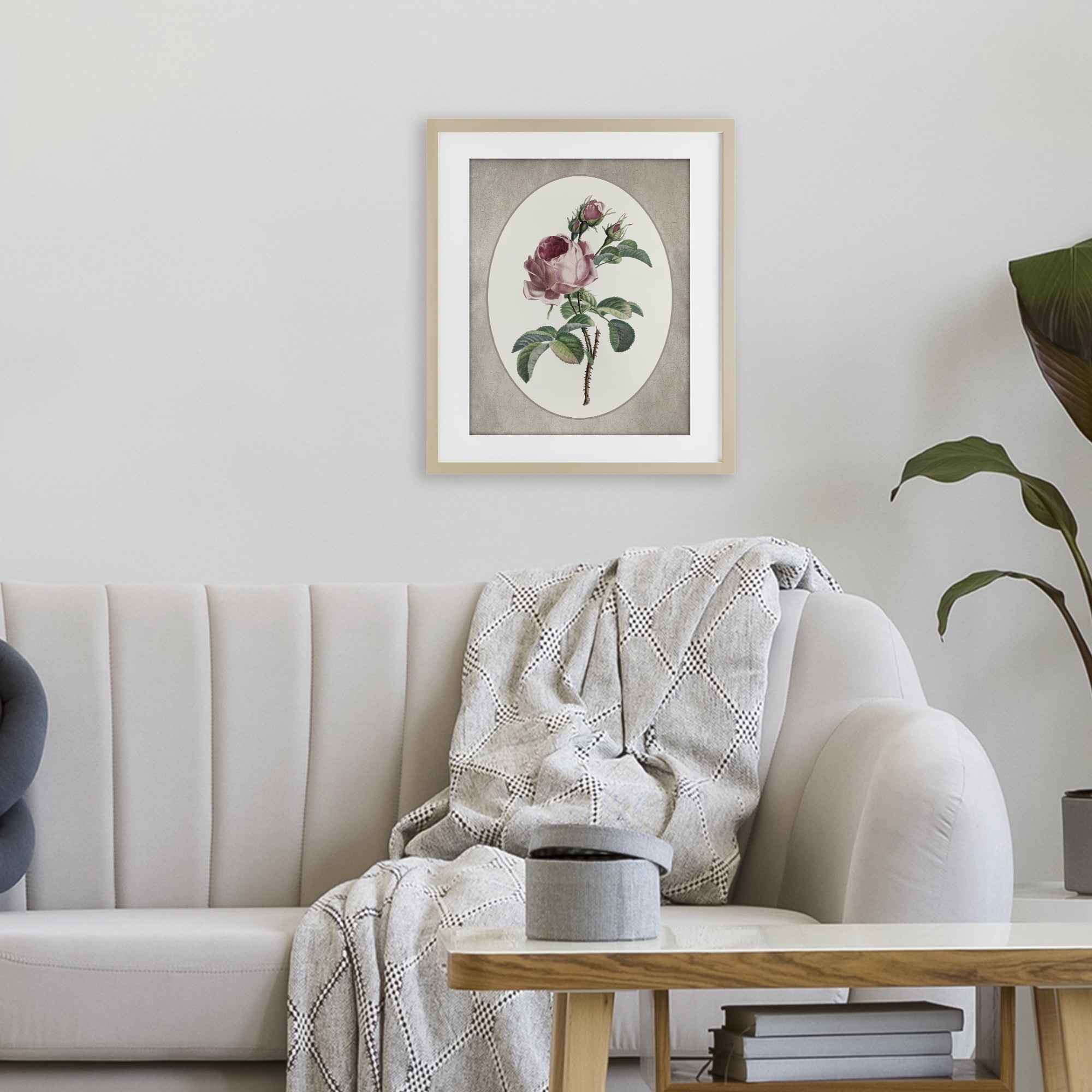 Vintage Rose within Oval Birch Framed Print Under Glass, design by Lettered and Lined
