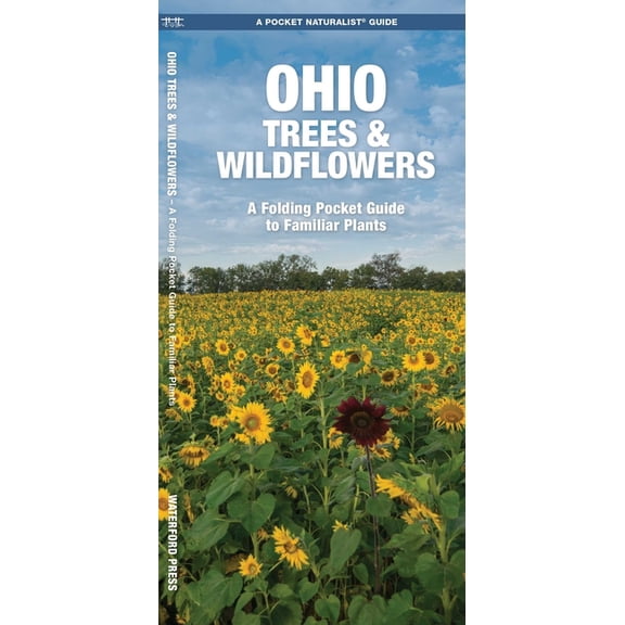 Pocket Naturalist Guides: Ohio Trees & Wildflowers: A Folding Pocket Guide to Familiar Plants (Paperback)