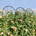 thumbnail image 4 of 4-Pack 86.7"H×19.7"W Black Peacock Style Metal Garden Trellis Rustproof Support for Climbing Plants & Flowers, 4 of 16
