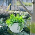 thumbnail image 4 of PPgejGEK Small Hanging Rattan Basket Planter Water Barrier Design Root Rot Prevention Wall Mount Garden Home Decor, 4 of 6