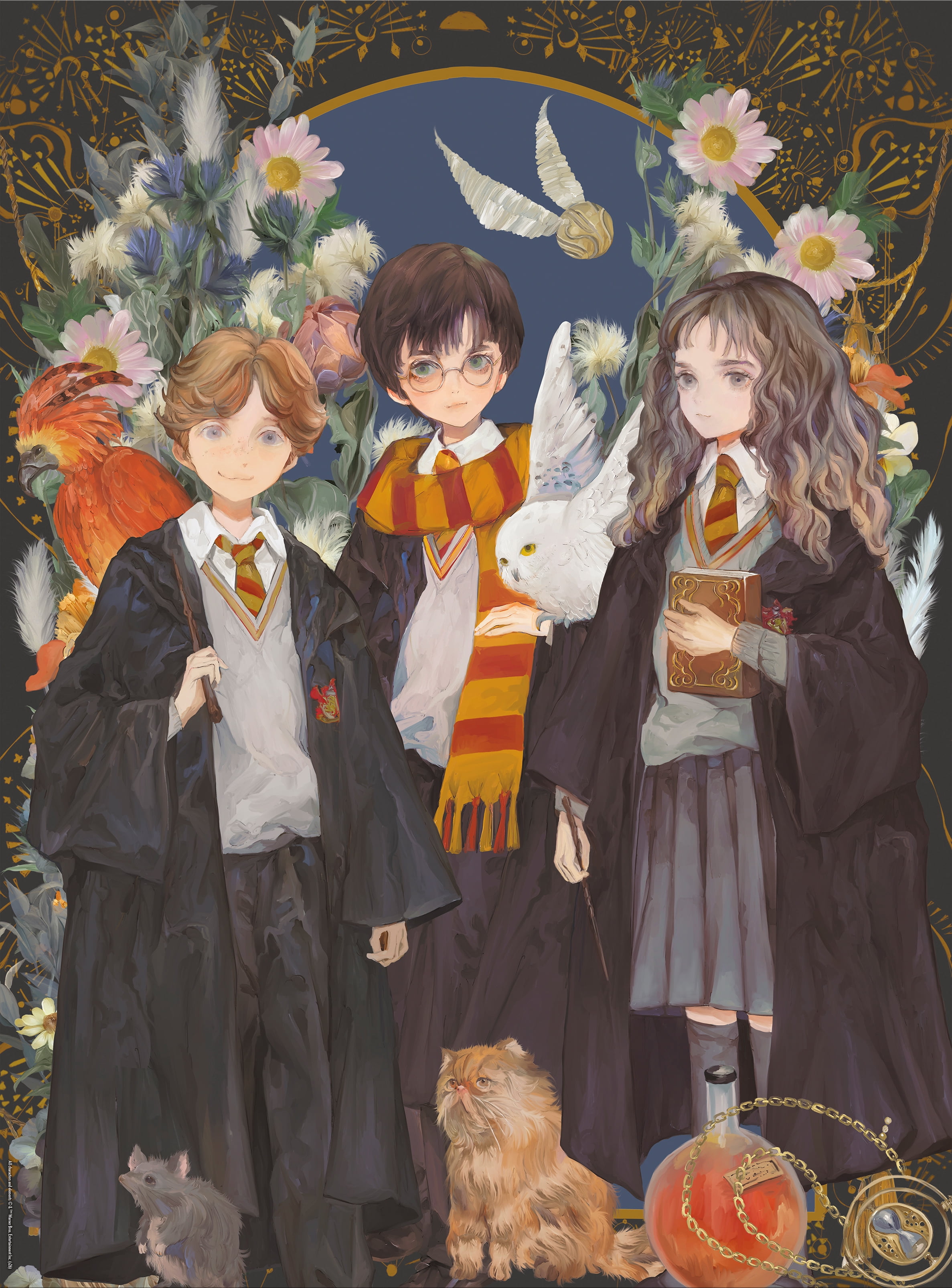 Ceaco Harry Potter Harry, Ron, Hermione 1000-Piece Interlocking Jigsaw Puzzle for Children Ages 14+