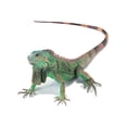 thumbnail image 2 of Kenally 3D araña lagarto escorpión 3D pegatina parachoques cuerpo PVC adhesivo ventana espejo adhesivo Decoración Automoción decorativa y accesorios No.02 Kenally VI000311-02, 2 of 6