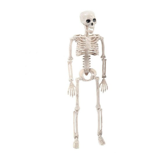 Asashitenel 1Pcs Halloween Prop Human Skeleton, Party Decoration 16"x5"