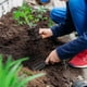 thumbnail image 4 of ColoMX 2 conjuntos Herramienta de trasplante de plantas suculentas herramientas de plantación de bonsai kit de herramientas manuales del jardín, 4 of 8