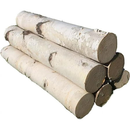White Birch Log Set for Fireplace 24"