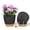 Black&Brown, variant on FIASON 2 Pack Plastic 12 Inch White with Brown Self Watering Plant Pots for Indoor Outdoor,Large Flower Pots Include Drainage Holes and Saucer