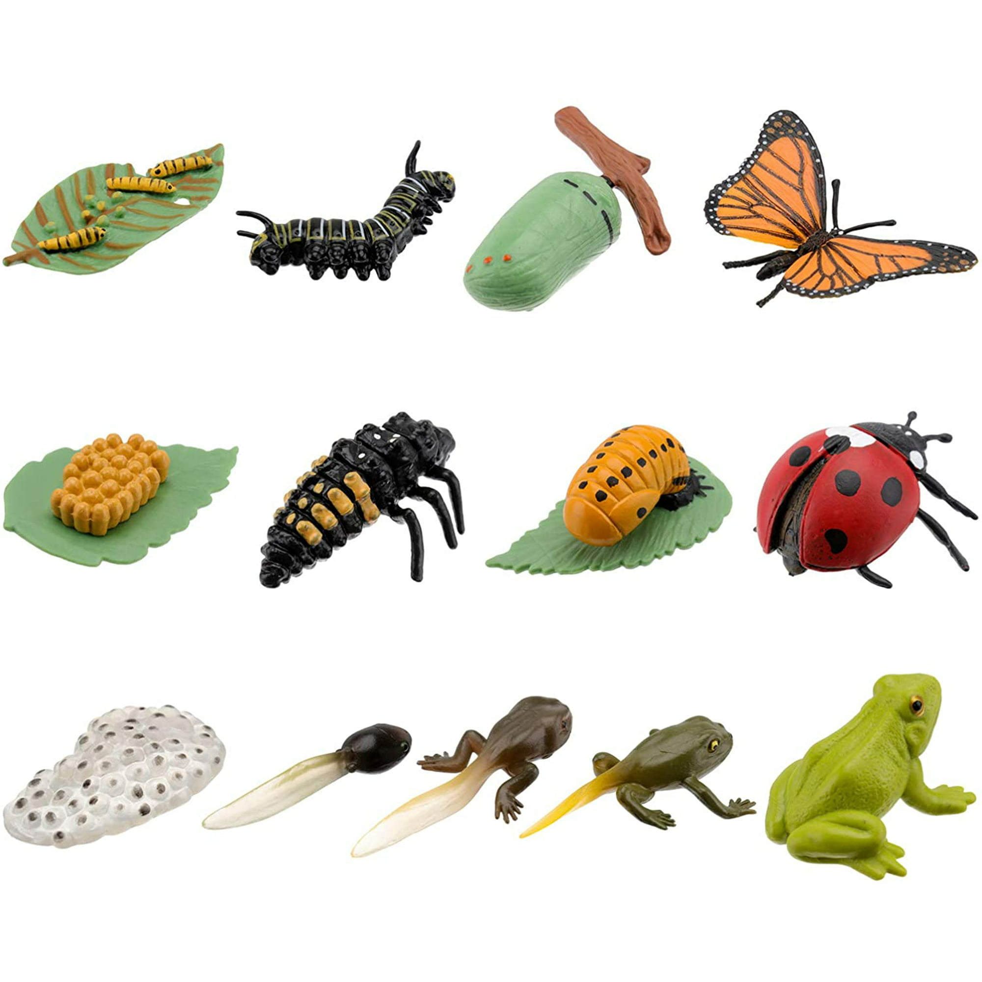 Kisangel 3 Sets Insect Figurines Butterfly Growth Cycle Figurine Monarch  Butterfly Life Cycle Model Realistic Education Insects Life Stages Figures  for Learning and Teaching Aids | Walmart Canada
