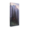 thumbnail image 2 of Trademark Fine Art 'Indian Paintbrush 1' Canvas Art by Allen Jimmerson, 2 of 3