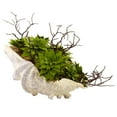 thumbnail image 2 of Nearly Natural 7" Plastic Succulent Garden Artificial Plant with Seashell, Green, 2 of 6