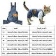 thumbnail image 3 of Denim Dog Overalls, Breathable Cotton Spring Fall Apparel Puppy Kitten Fashion Clothing Washable Jean Fabric Pet Jumpsuit Small Animal Garment Blue, 3 of 6
