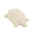 thumbnail image 3 of TetraTetrafauna ReptoGuard Turtle Health Conditioner Block, 1-Count, 3 of 4