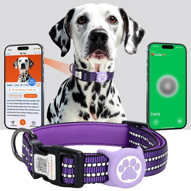 Collar para Perro ILFINDYOU Grande Impermeable Reflectante Morado