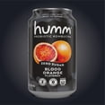 thumbnail image 2 of Humm Kombucha Zero Sugar Drink, Blood Orange, 16 Pack, 12 oz Cans, 2 of 7