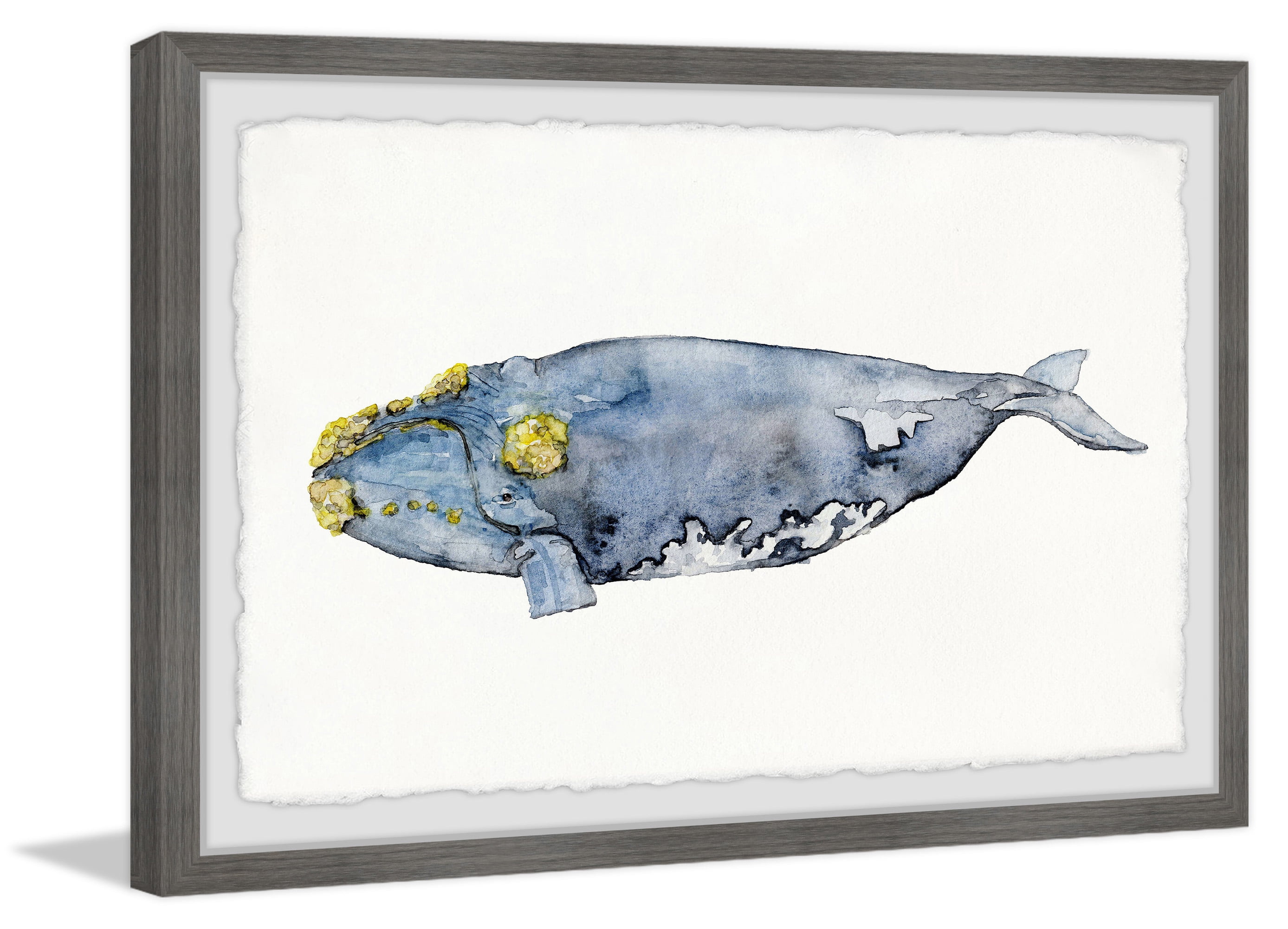 Marmont Hill Mossed Whale by Rachel Byler Framed Wall Art