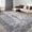 Bohemian - Gray, variant on CHAKME 5'x7' Area Rugs Living Room Bedroom Ultra Thin Soft Washable Oriental Vintage Floral Carpet Distressed Rug Indoor Room Dorm Home Carpets Decor,Mul
