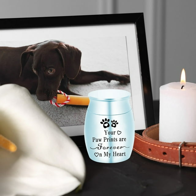 Urne pour Animaux Pot Commémoratif Chats Chien Produits Funéraires Urne en Alliage Scellée