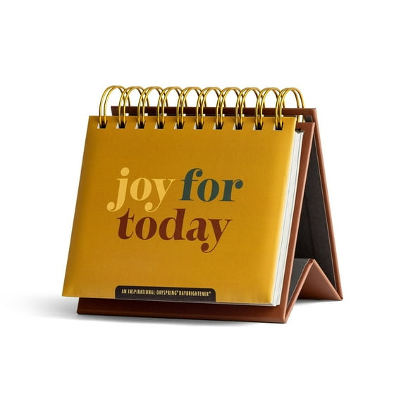 Joy for Today: An Inspirational DaySpring DayBrightener - Perpetual Calendar (Spiral Bound)