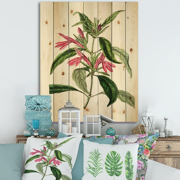 Designart 'Ancient American Flora VII' Traditional Print on Natural Pine Wood