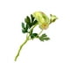 thumbnail image 4 of Worallymy Ramo de camelia artificial de 2 cabezas simulación de flores centro de mesa decoración floral falsa verde Worallymy JD735806934, 4 of 7