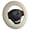 Cream White, variant on Fuzzy Fluffy Soft Wool Sheepskin Fur Blue car Steering Wheel Cover for Adults Girls Women Men Protector Universal 14 1/2-15 1/2inchs (Sky Blue)