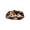 B, variant on Funny Cute Animals Rug Sleep Animals Shaped Bath Mat Non-Slip Bathroom Rugs Doormat Outdoor Mat with Dog Front Door Mat Soft Plush Floor Mats C