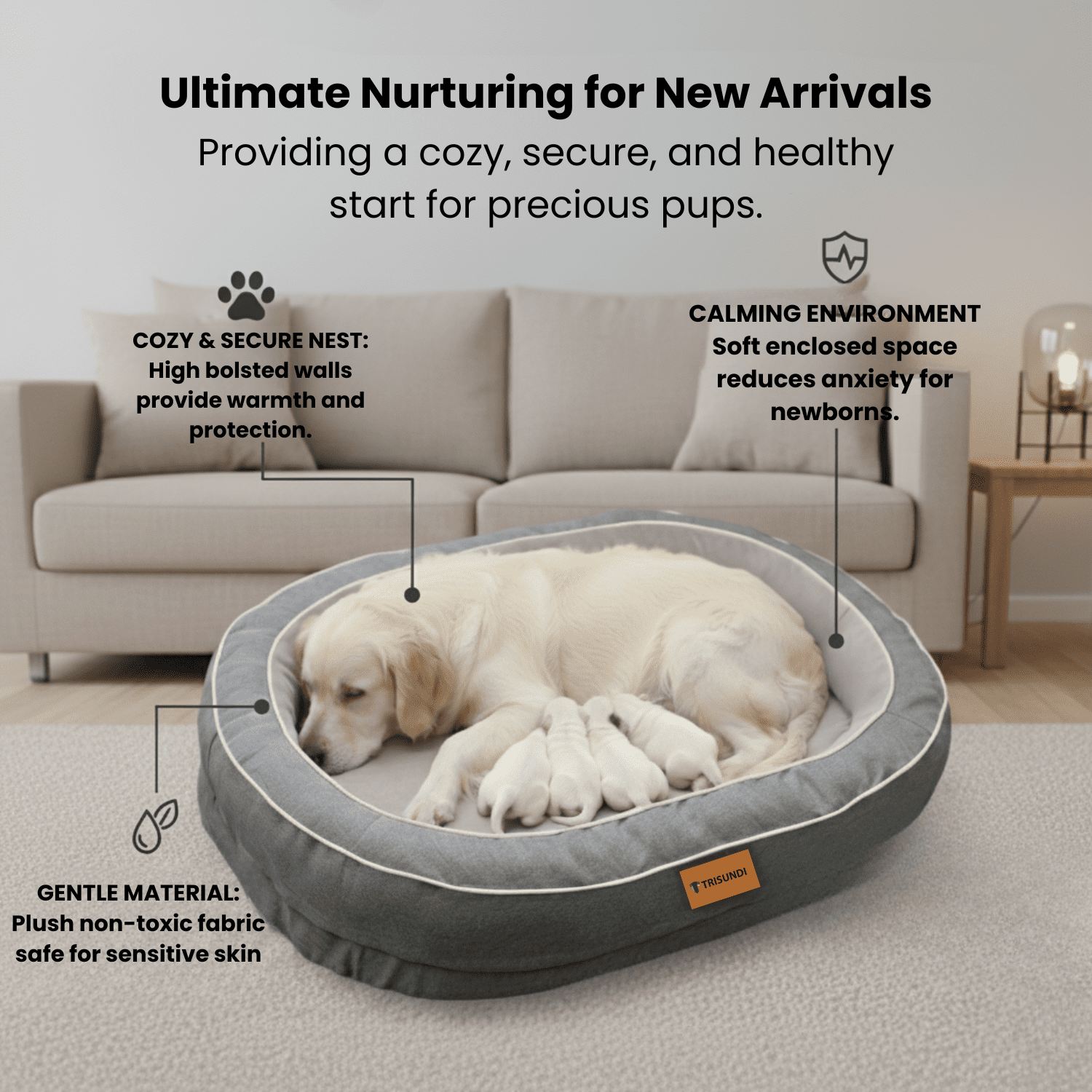Oval Orthopedic Dog Bed with Removable Washable Cover – Calming Pet Bed with High-Density Honeycomb Sponge, Non-Slip Bottom, Durable Scratch-Resistant Fabric for Medium and Large Dogs