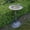 Silver, variant on Round Cast Aluminum Metal 32-in Bird Bath with Sunflower Butterfly