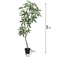 thumbnail image 3 of 5ft Artificial Money Tree, Faux Pachira Aquatica Plant in Black Pot, Fake Trees for Office Home Living Room Floor Patio Greening Porch Decor, 3 of 7