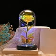 thumbnail image 2 of Ashosteey Glass Rose for Her,Forever Rose Birthday Gifts for Women, Rose Gift for Women,Light Up Rose Flower in Glass Dome,Gifts for Women Valentines Day/Christmas/Mothers Day/Anniversary, 2 of 8