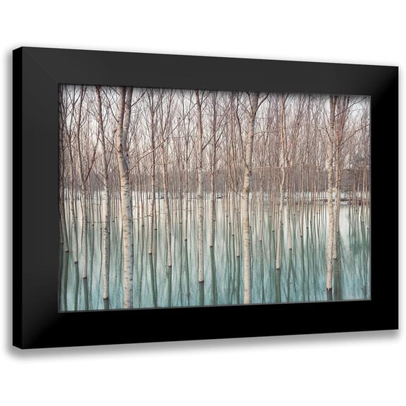 Ricordi, Andrea G. 14x11 Black Modern Framed Museum Art Print Titled - White Birches in the River